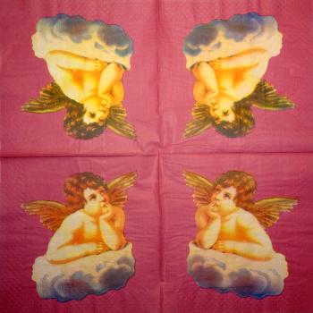 281 Angel - 3-ply - LIAB